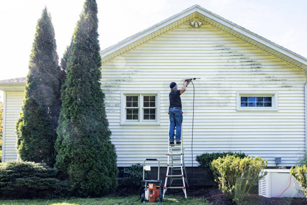 Best Gutter Cleaning in Dry Ridge, OH